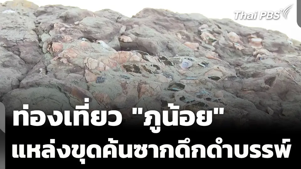 เที่ยว "ภูน้อย" แหล่งขุดค้นซากดึกดำบรรพ์ใหญ่สุดในเอเชียฯ