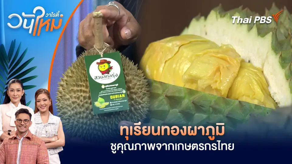 ทุเรียนทองผาภูมิ ชูคุณภาพจากเกษตรกรไทย