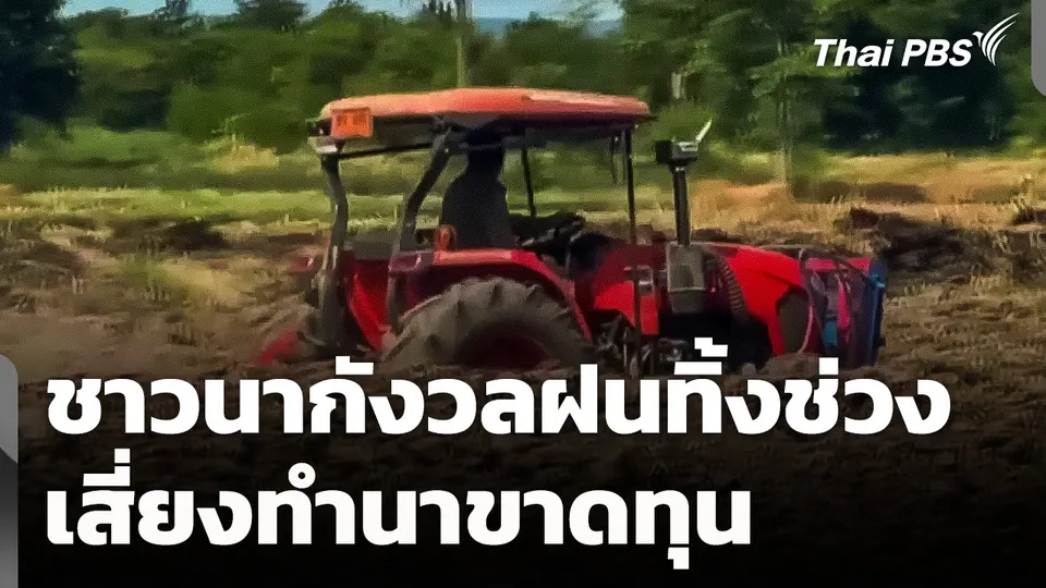ชาวนากังวลฝนทิ้งช่วง เสี่ยงทำนาขาดทุน 