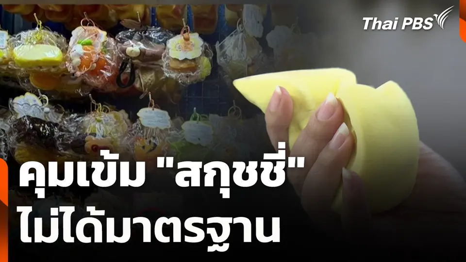 สถานีร้องเรียน : คุมเข้ม "สกุชชี่" ไม่ได้มาตรฐาน
