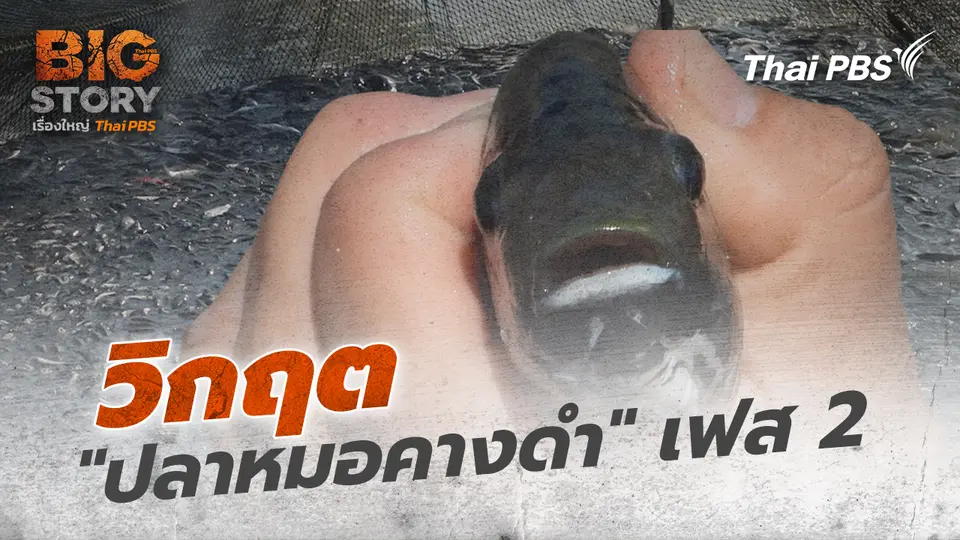 Big Story เรื่องใหญ่ Thai PBS