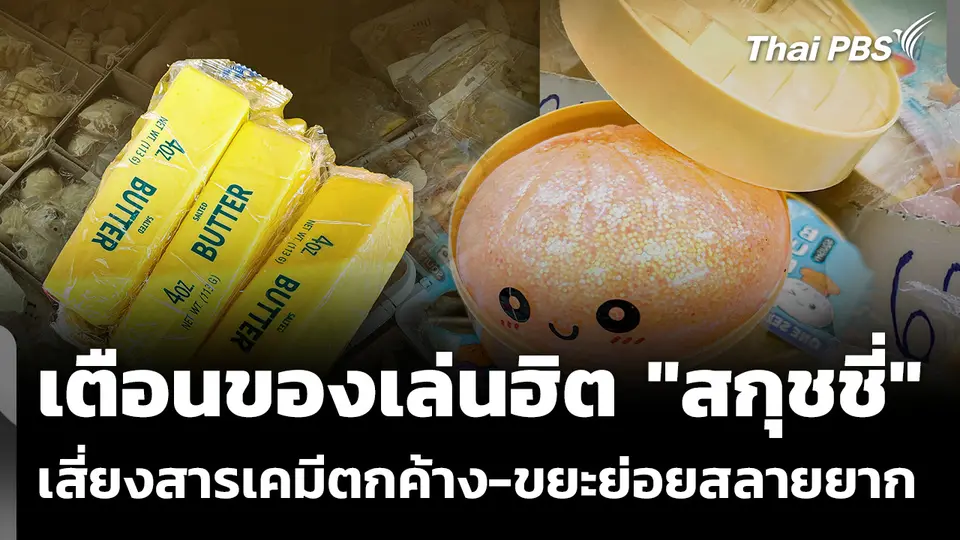 เตือนของเล่นฮิต "สกุชชี่"  เสี่ยงสารเคมีตกค้าง-ขยะย่อยสลายยาก