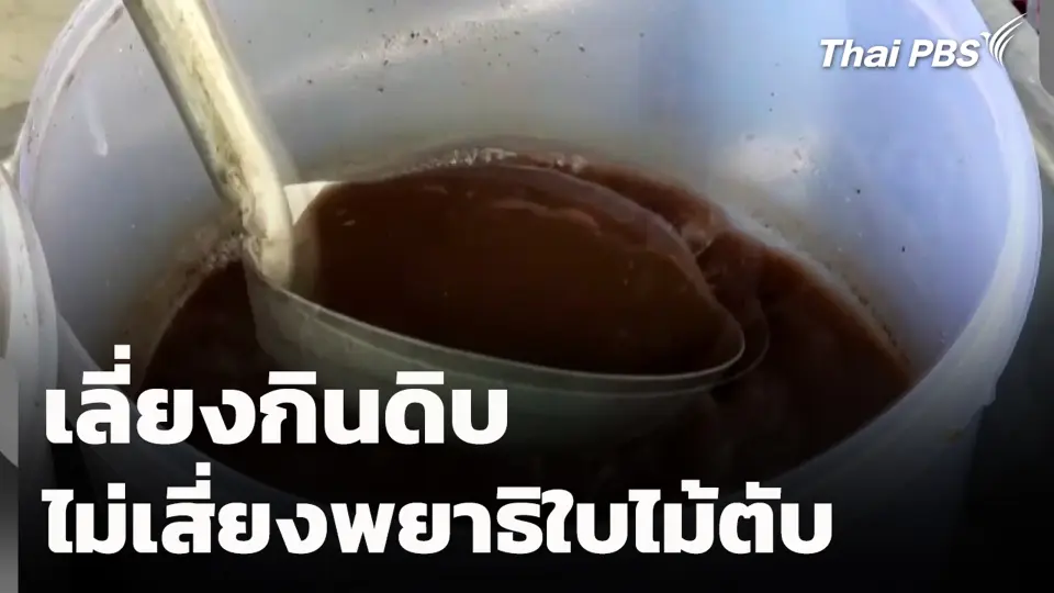 เลี่ยงกินดิบ ไม่เสี่ยงพยาธิใบไม้ตับ