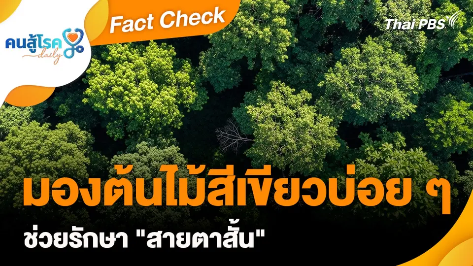 Fact Check :  มองต้นไม้สีเขียวบ่อย ๆ ช่วยรักษา "สายตาสั้น"