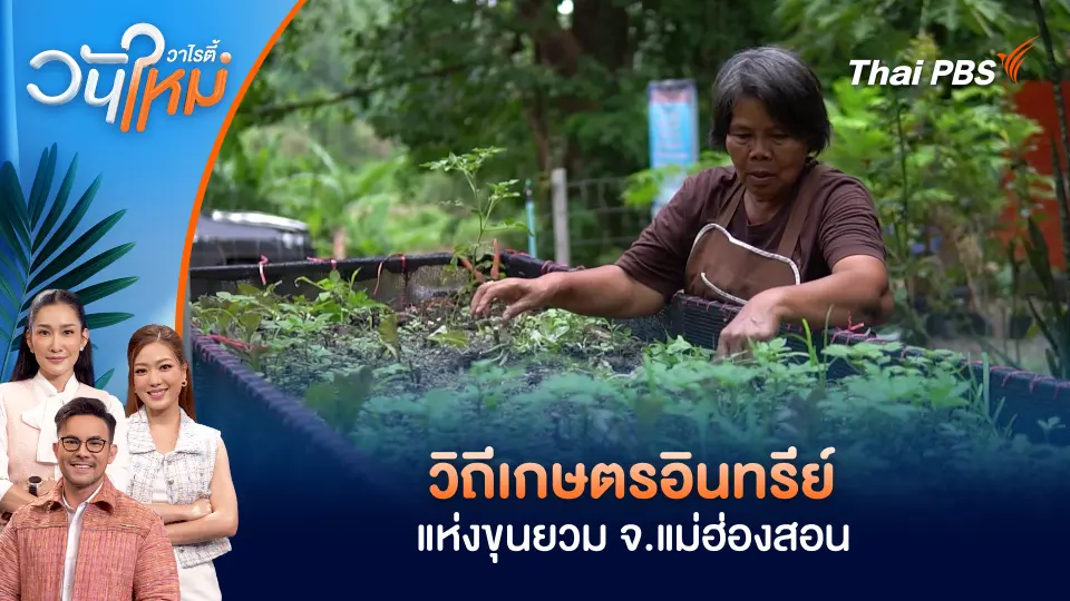 วิถีเกษตรอินทรีย์แห่งขุนยวม จ.แม่ฮ่องสอน