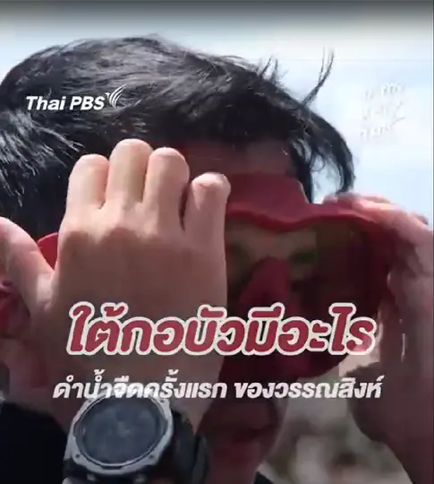 ใต้กอบัวมีอะไร