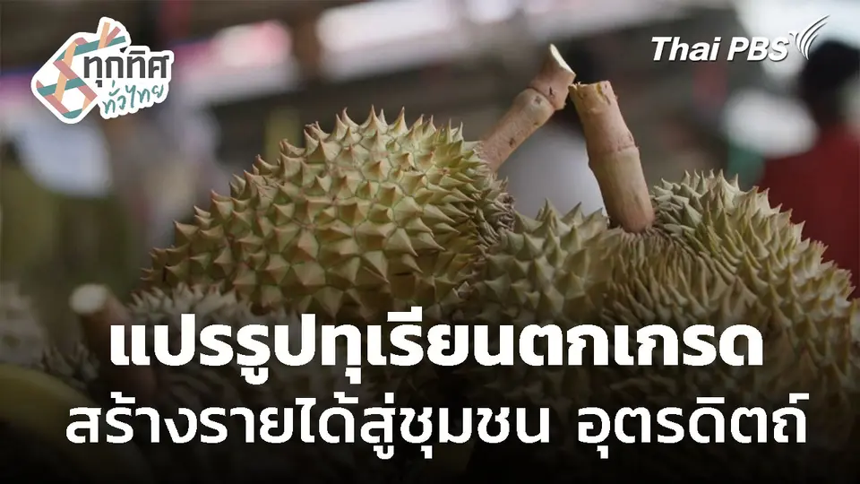 แปรรูปทุเรียนตกเกรด สร้างรายได้สู่ชุมชน