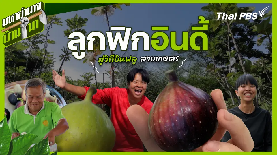 มหาอำนาจบ้านนา