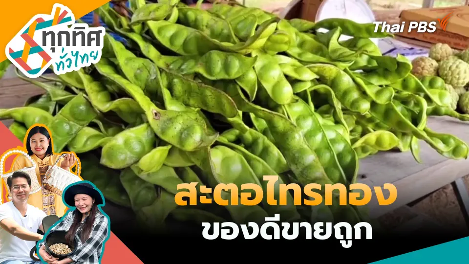 ทุกทิศทั่วไทย