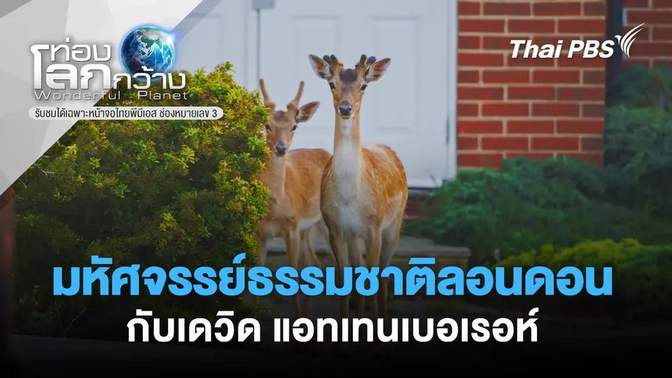 ท่องโลกกว้าง