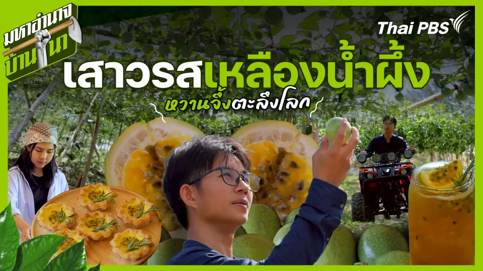 มหาอำนาจบ้านนา