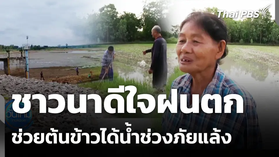 ชาวนาดีใจฝนตก ช่วยต้นข้าวได้น้ำช่วงภัยแล้ง