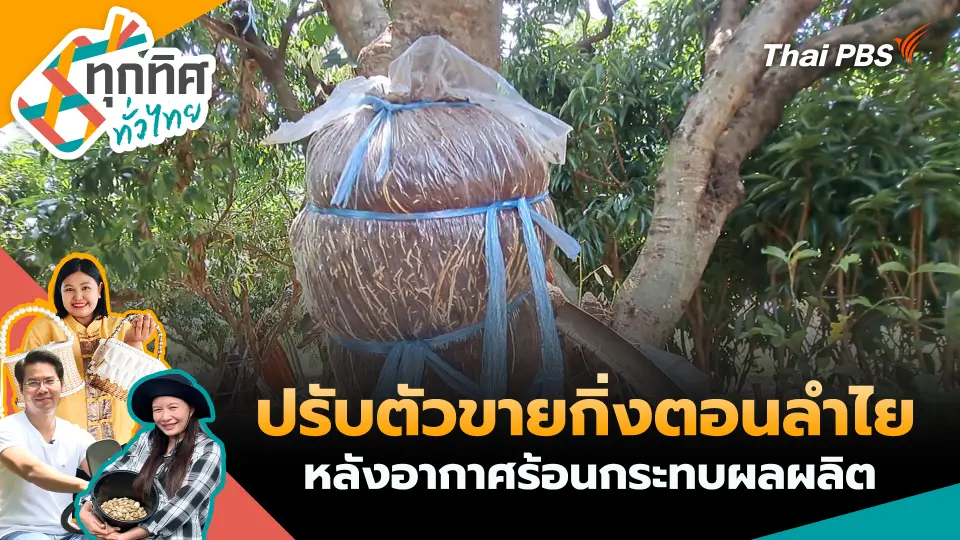 ทุกทิศทั่วไทย