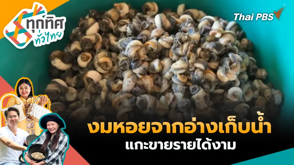 ทุกทิศทั่วไทย
