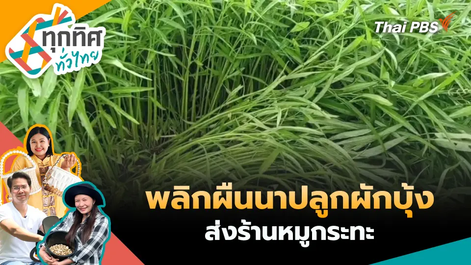 ทุกทิศทั่วไทย