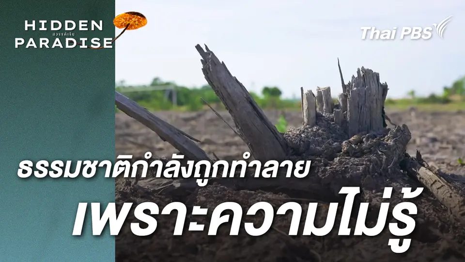 ธรรมชาติที่สมบูรณ์ กำลังถูกทำลายโดยความไม่รู้