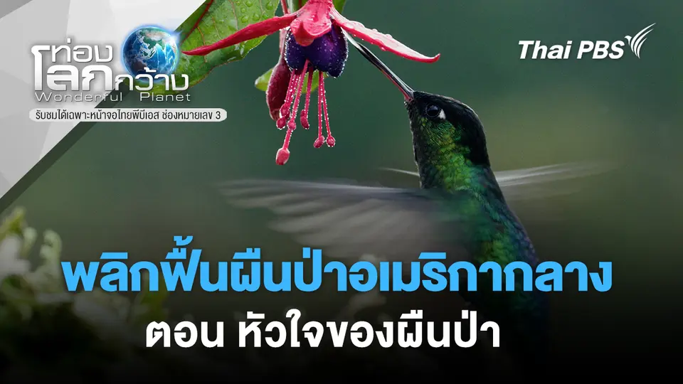 ท่องโลกกว้าง