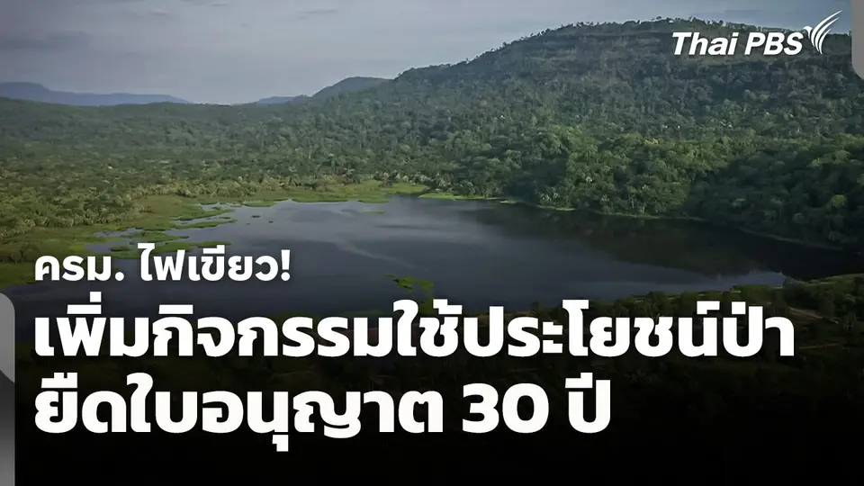 ครม. ไฟเขียว! เพิ่มกิจกรรมใช้ประโยชน์ป่า ยืดใบอนุญาต 30 ปี