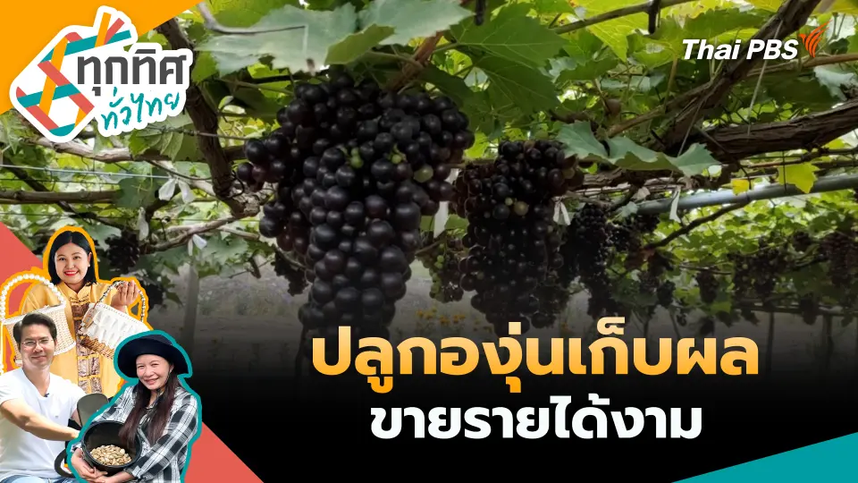 ทุกทิศทั่วไทย