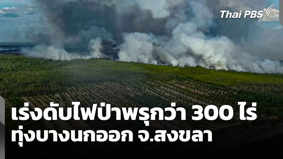 เร่งดับไฟป่าพรุทุ่งบางนกออก จ.สงขลา กว่า 300 ไร่ 