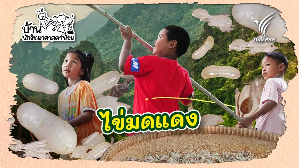บ้านนักวิทยาศาสตร์น้อย