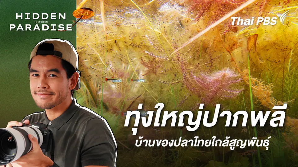 Hidden Paradise สวรรค์เร้น