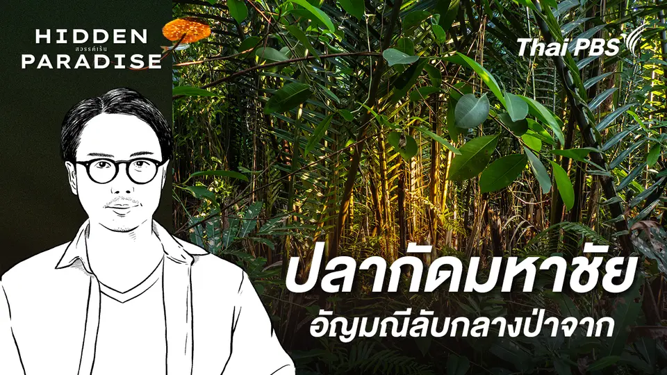 Hidden Paradise สวรรค์เร้น