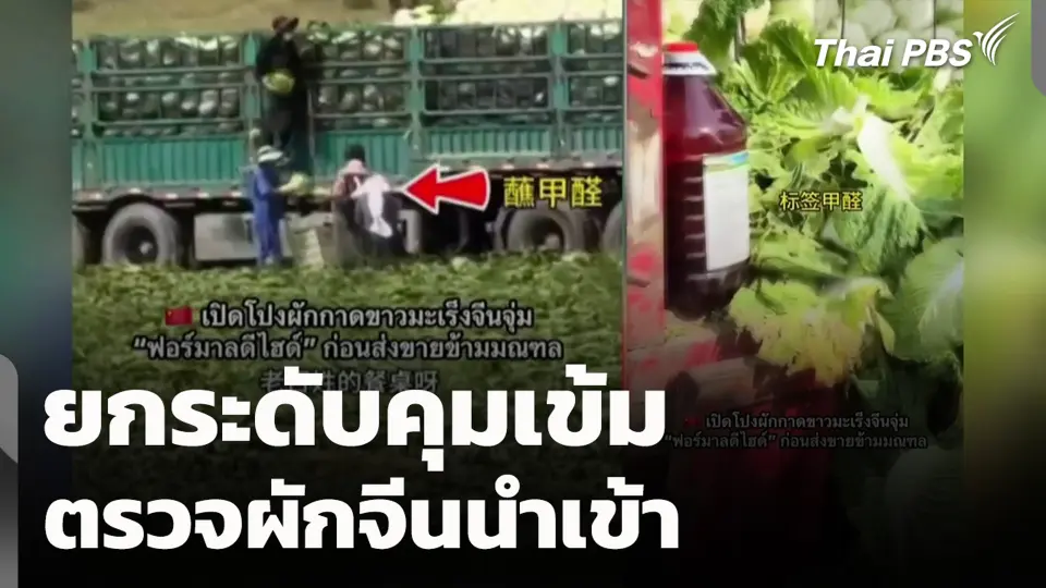 ยกระดับคุมเข้ม ตรวจผักจีนนำเข้า