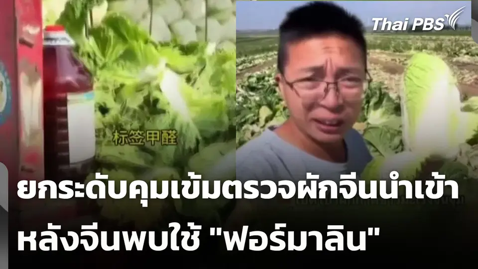 ยกระดับคุมเข้มตรวจผักจีนนำเข้า หลังพบใช้ "ฟอร์มาลิน"