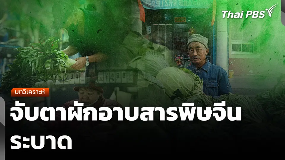 บทวิเคราะห์: จับตาผักอาบสารพิษจีนระบาด