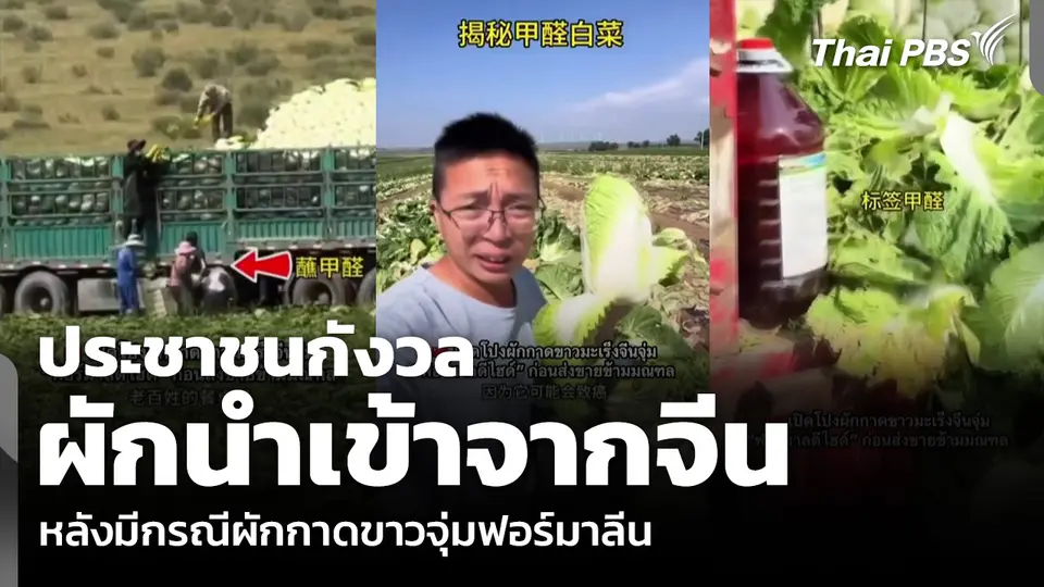 ประชาชนกังวล ผักนำเข้าจากจีน หลังมีกรณีผักกาดขาวจุ่มฟอร์มาลีน