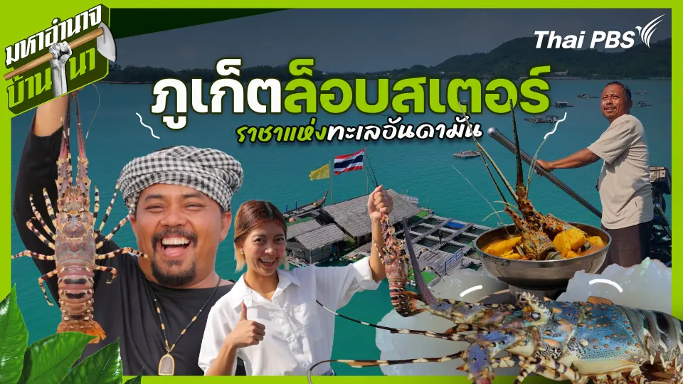 มหาอำนาจบ้านนา