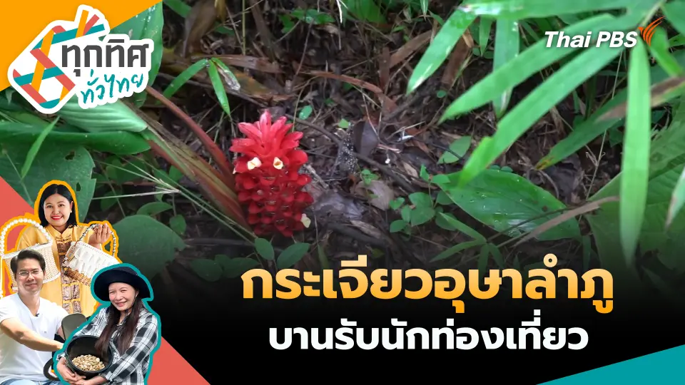ทุกทิศทั่วไทย