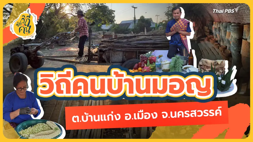 ซีรีส์วิถีคน