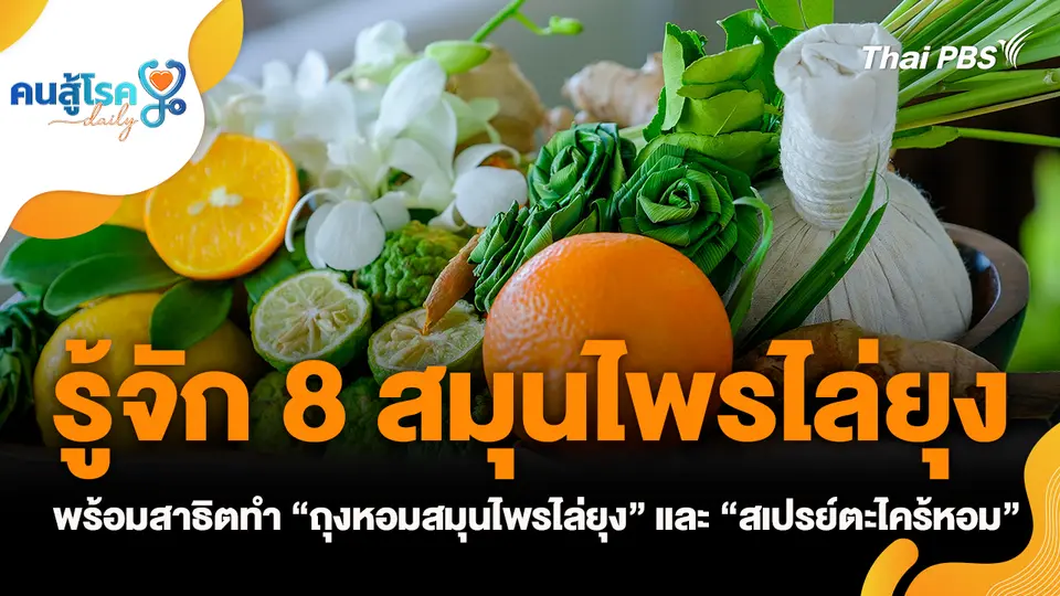 รู้จัก 8 สมุนไพรไล่ยุง