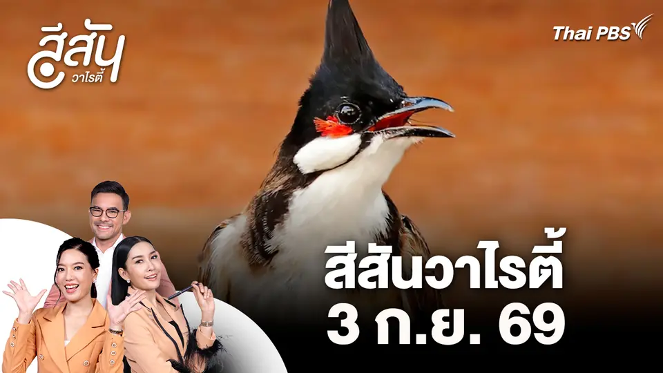 สีสันวาไรตี้ (3 ก.ย. 69)