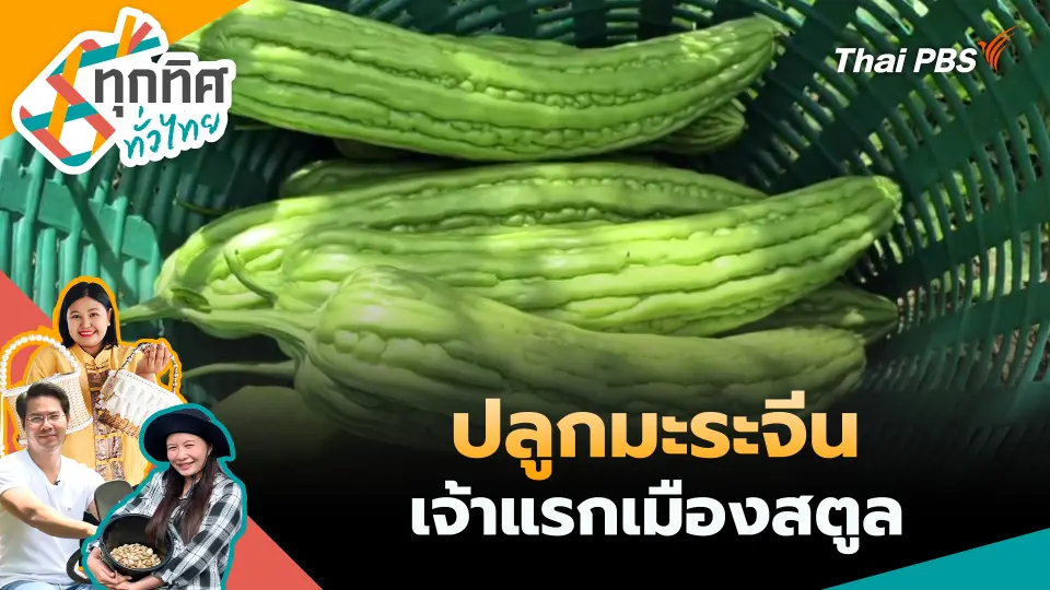 ทุกทิศทั่วไทย