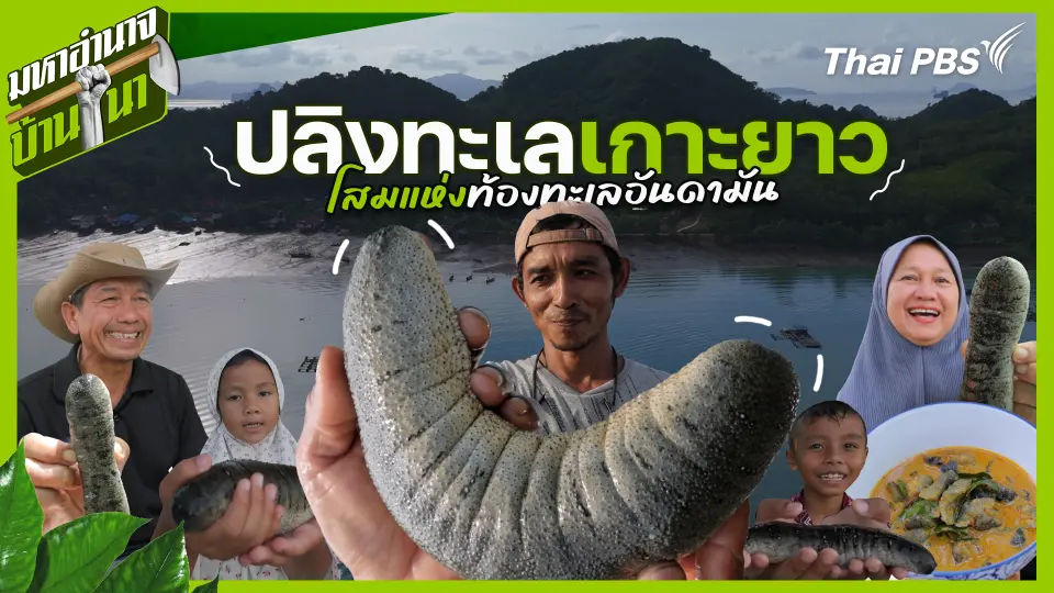 มหาอำนาจบ้านนา