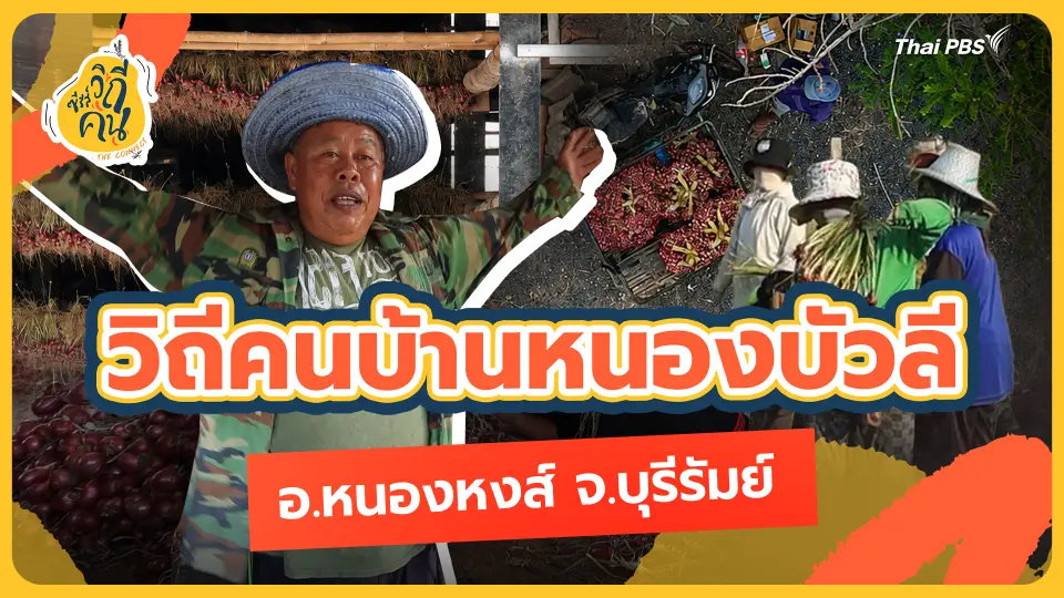ซีรีส์วิถีคน