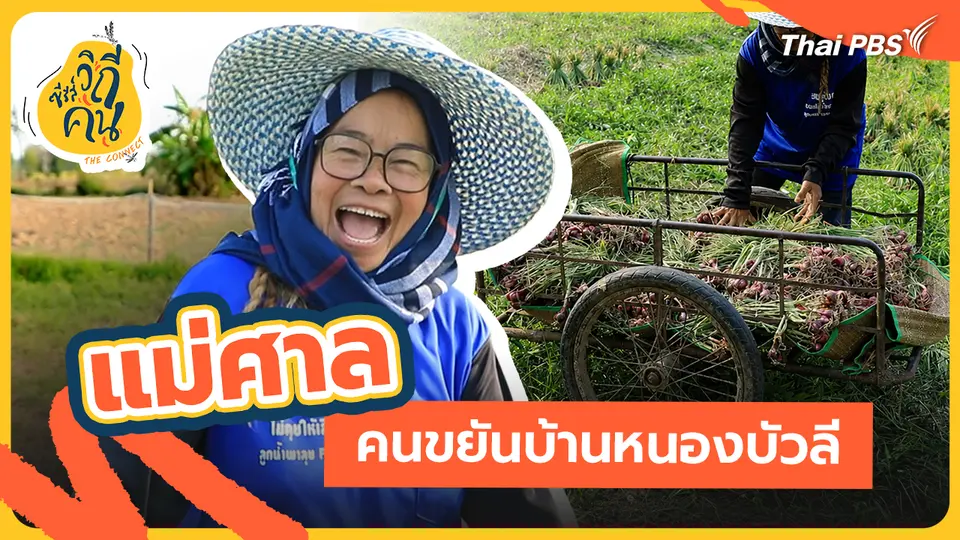 ช็อตเด็ด ซีรีส์วิถีคน : "แม่ศาล" คนขยันบ้านหนองบัวลี