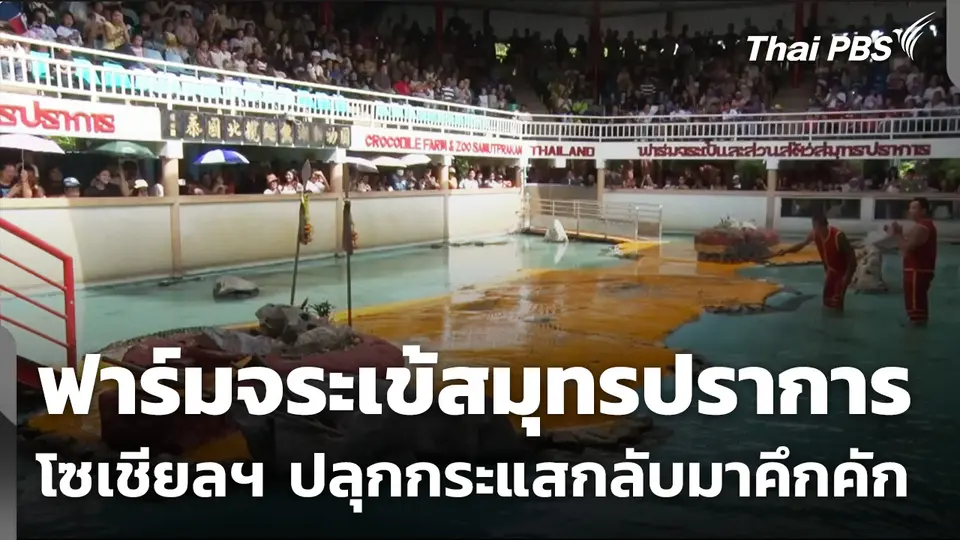 ปลุกกระแส "ฟาร์มจระเข้สมุทรปราการ" กลับมาคึกคัก!