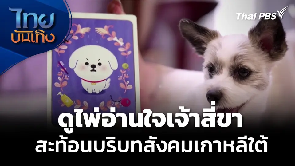 แลโลกเห็นเรา : "Pet Tarot" อ่านใจเจ้าสี่ขา สะท้อนสังคมเกาหลีใต้ 