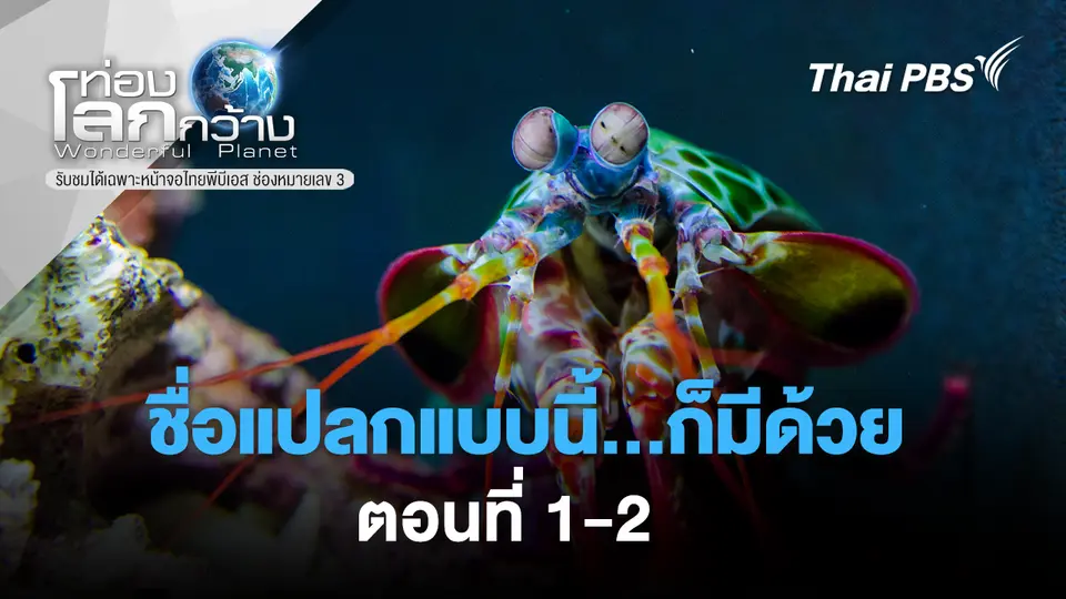 ท่องโลกกว้าง