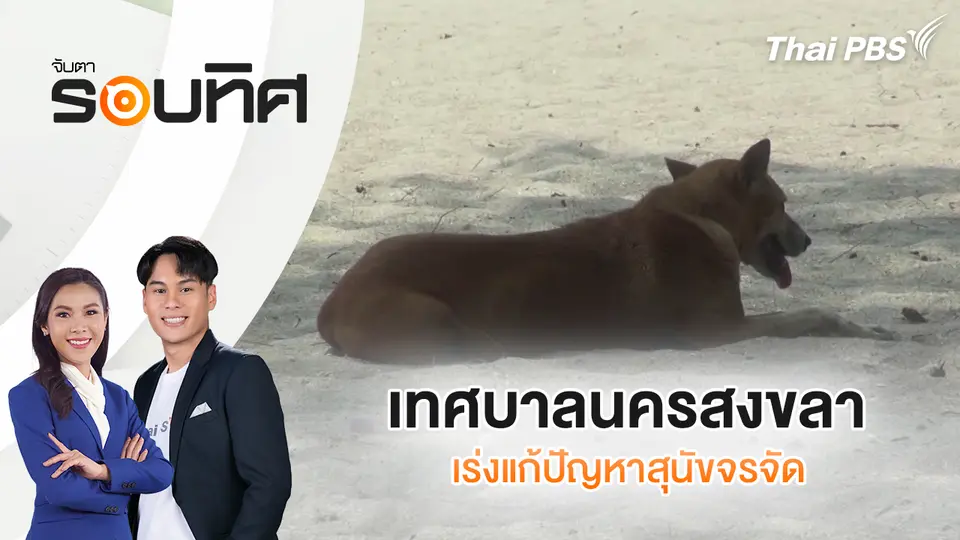 จับตารอบทิศ