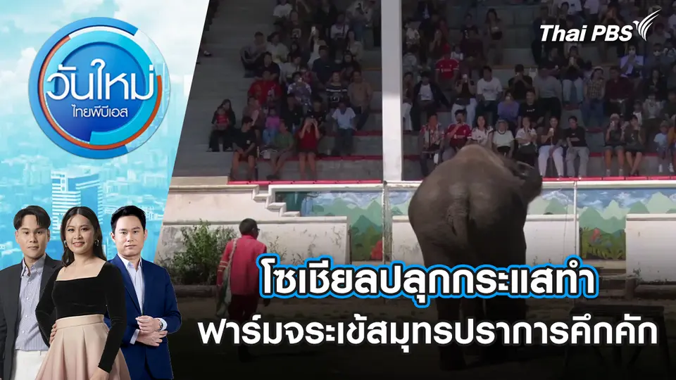วันใหม่  ไทยพีบีเอส