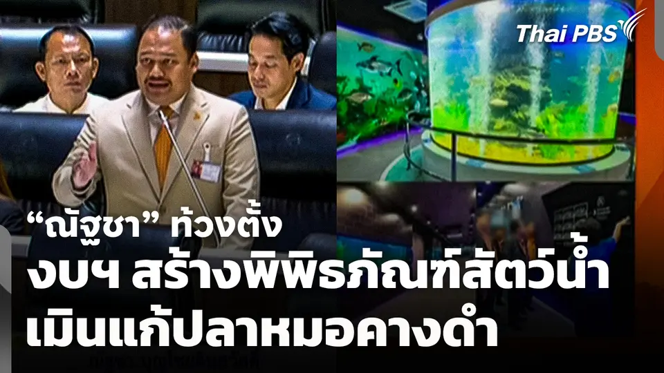 "ณัฐชา" ท้วงตั้งงบฯ สร้างพิพิธภัณฑ์สัตว์น้ำ เมินแก้ปลาหมอคางดำ