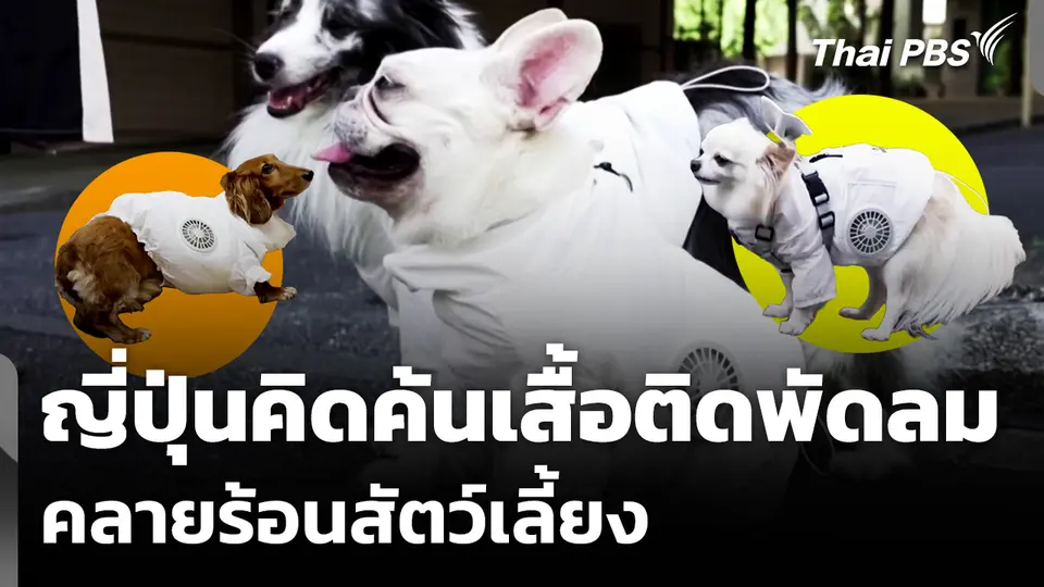 ญี่ปุ่นคิดค้นเสื้อติดพัดลมคลายร้อนสัตว์เลี้ยง