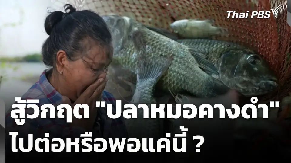 สู้วิกฤต "ปลาหมอคางดำ" ไปต่อหรือพอแค่นี้ ?