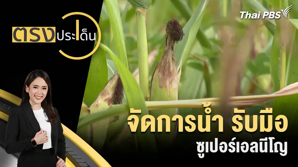 ตรงประเด็น