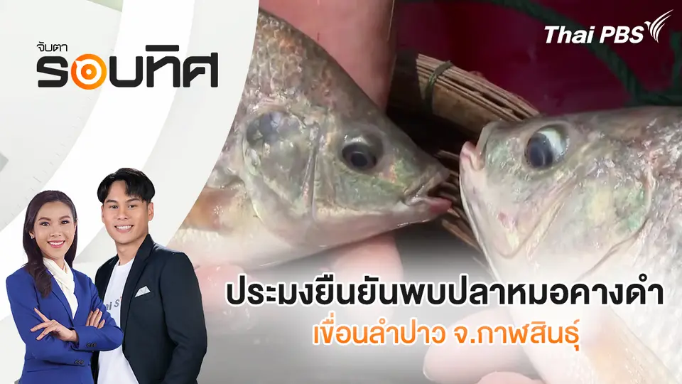 จับตารอบทิศ
